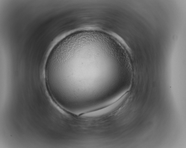 X0000114681335200910211202