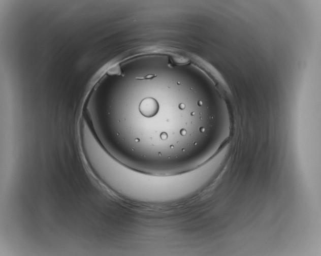 X0000114681338200910211202