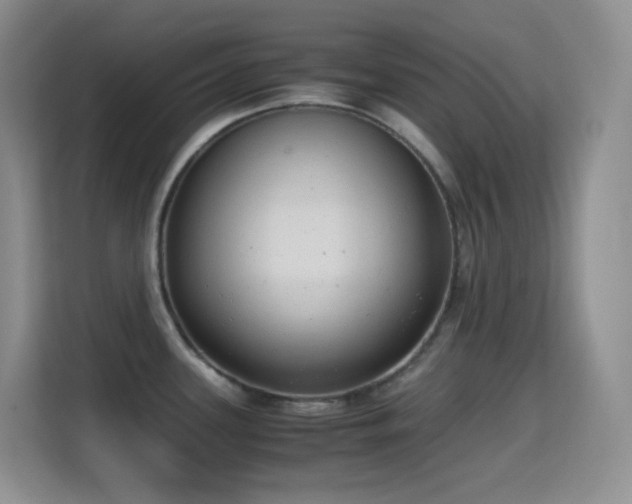 X0000114681339200910211203