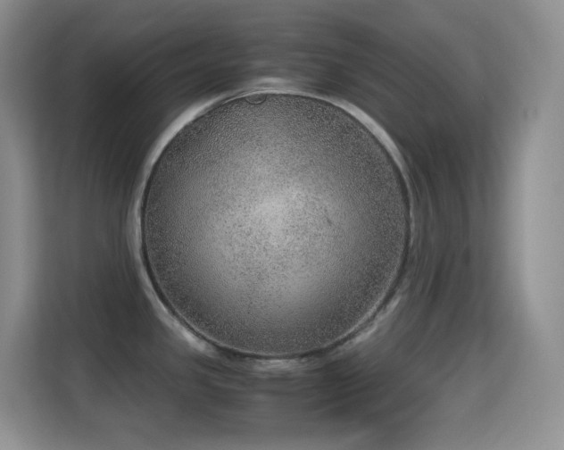 X0000114681341200910211203