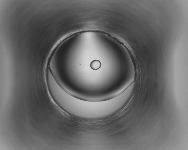 X0000114681342200910211203