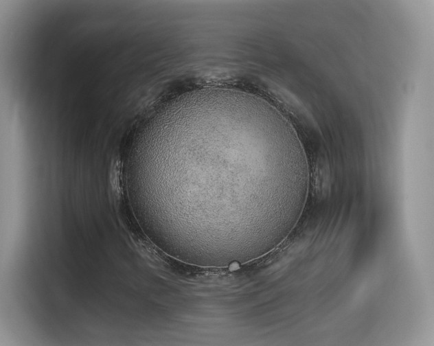 X0000114681346200910211202