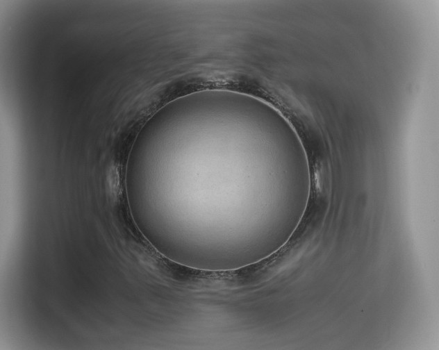 X0000114681347200910211202