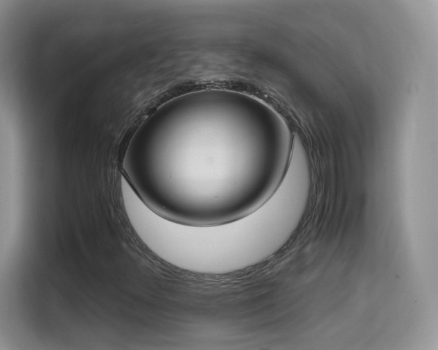 X0000114681348200910211202