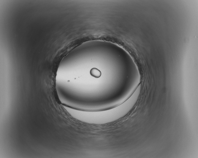 X0000114681349200910211202