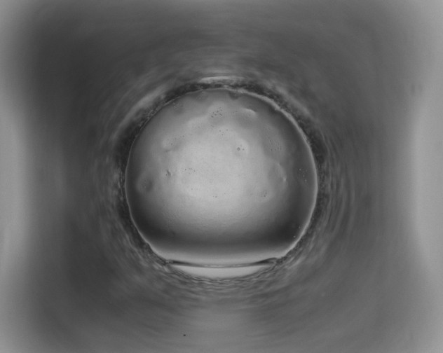 X0000114681351200910211202
