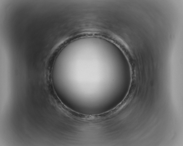 X0000114681352200910211202