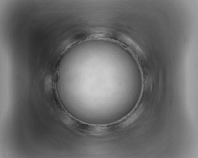 X0000114681353200910211202