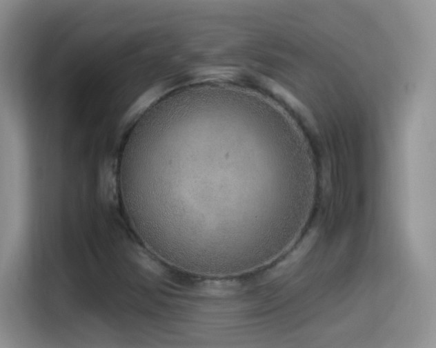 X0000114681354200910211202