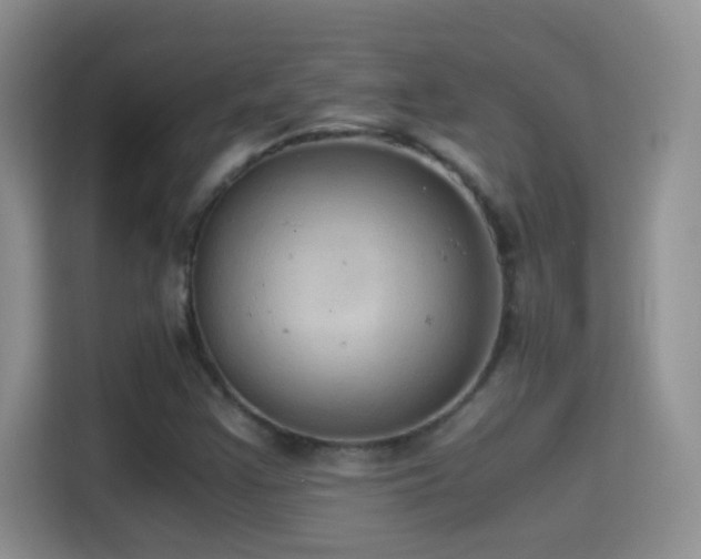 X0000114681355200910211202