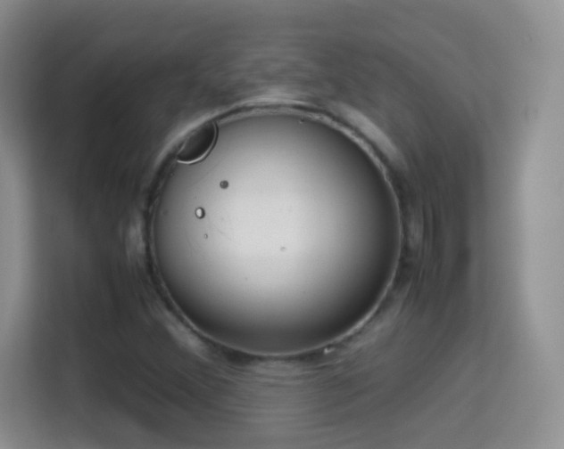 X0000114681356200910211202
