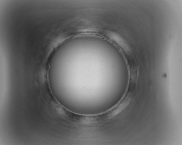 X0000114681357200910211202