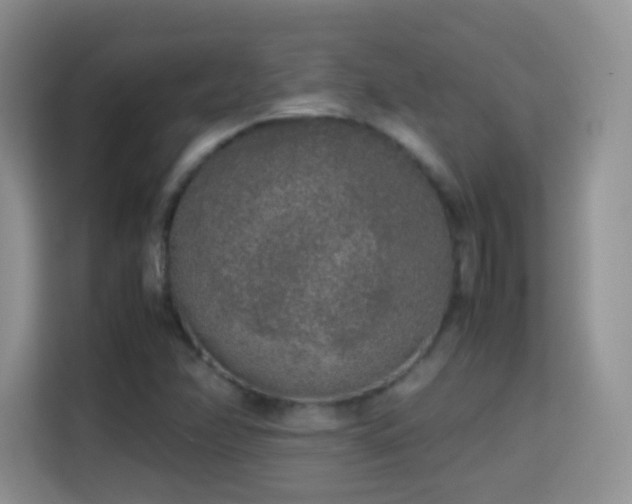 X0000114681358200910211202
