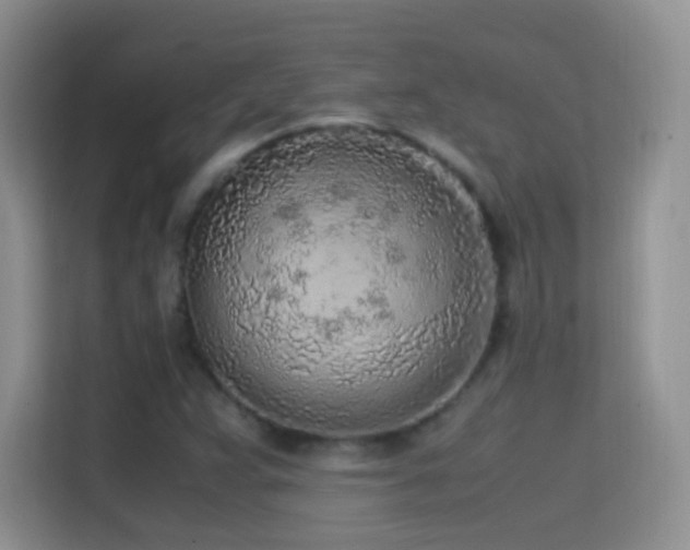 X0000114681359200910211202