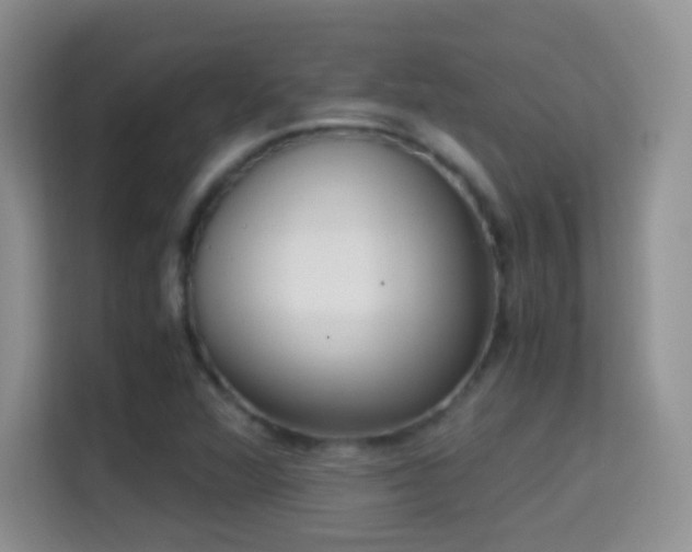 X0000114681360200910211202