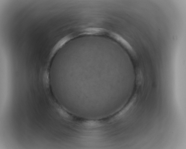 X0000114681362200910211202