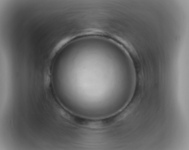 X0000114681363200910211202