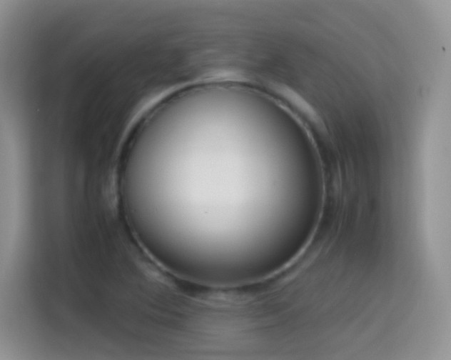 X0000114681364200910211202