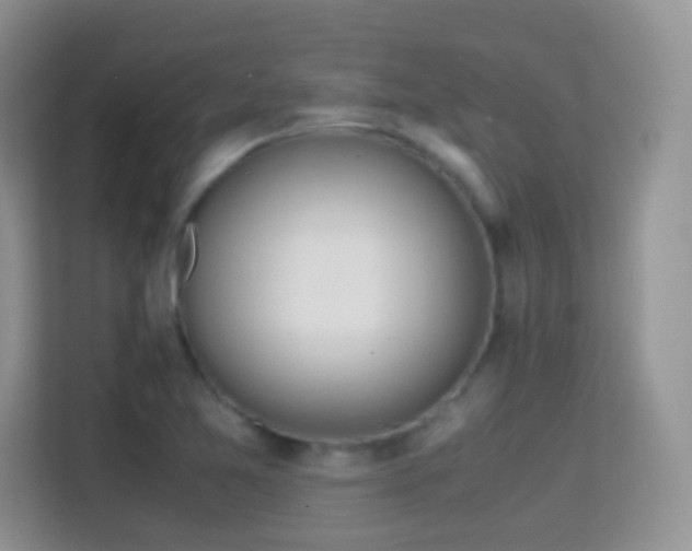 X0000114681365200910211202