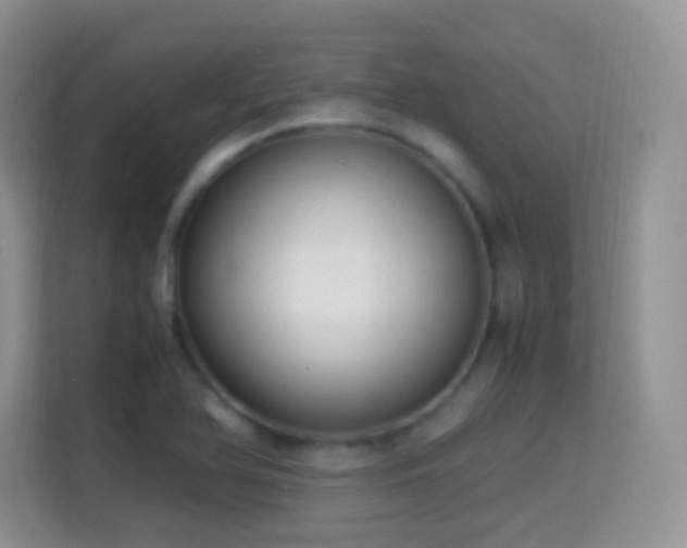 X0000114681366200910211202