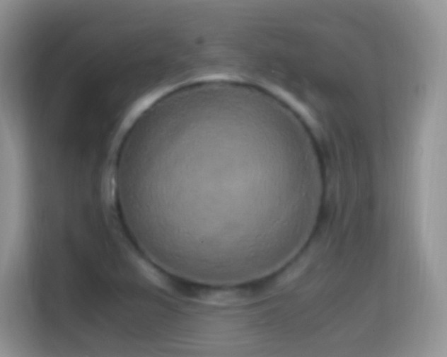X0000114681367200910211202