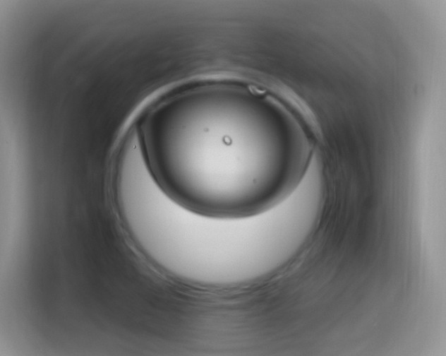 X0000114681368200910211202