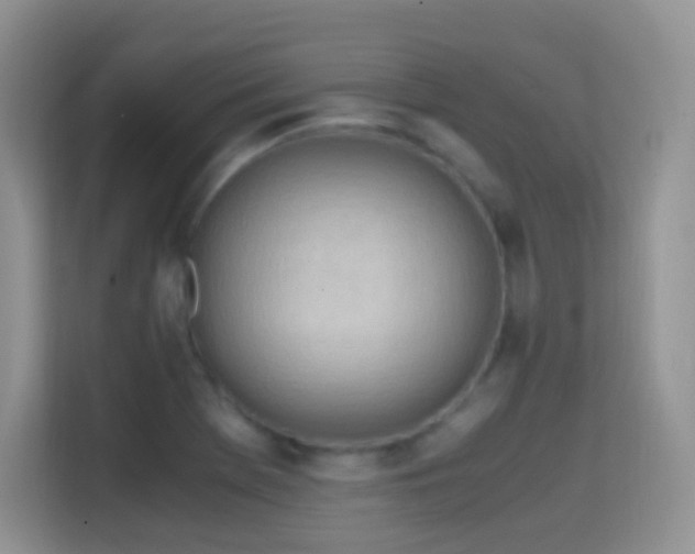 X0000114681369200910211202