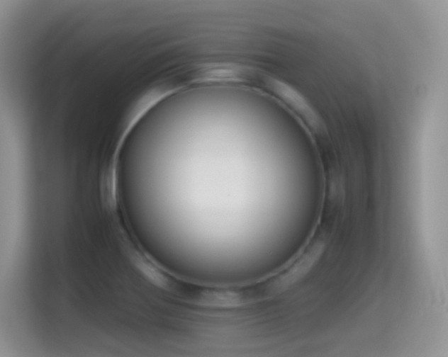 X0000114681370200910211202