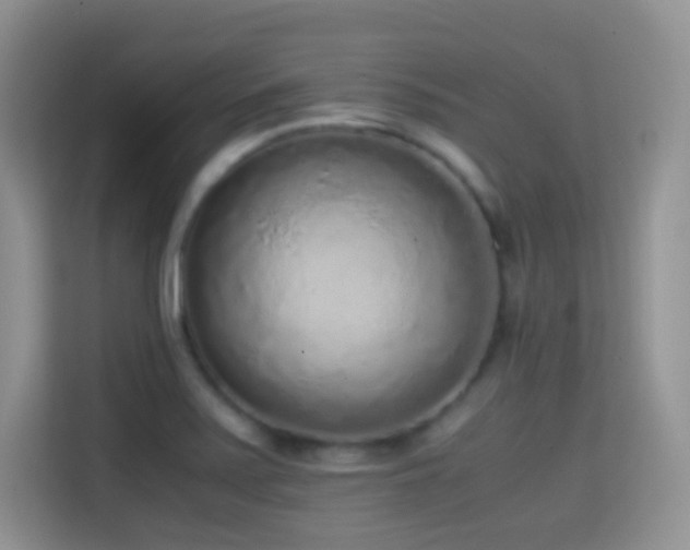 X0000114681371200910211202
