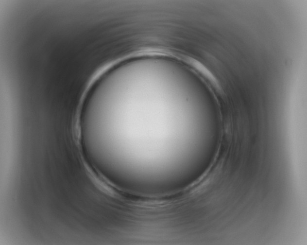 X0000114681372200910211202