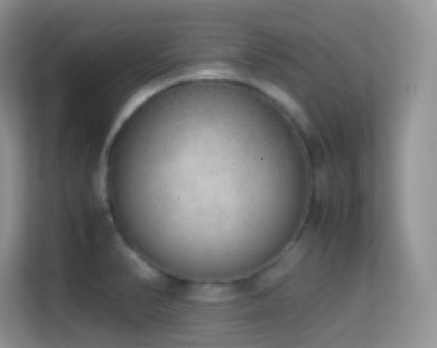 X0000114681374200910211202