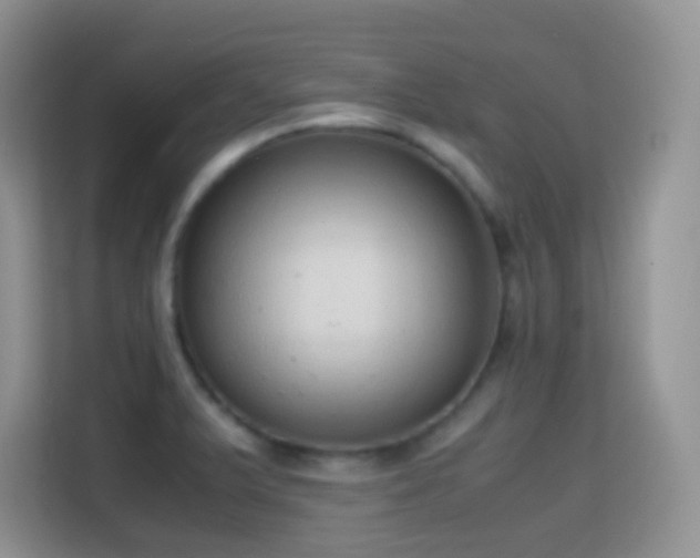 X0000114681375200910211202