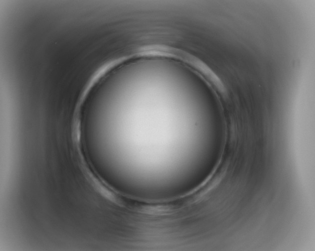 X0000114681376200910211202
