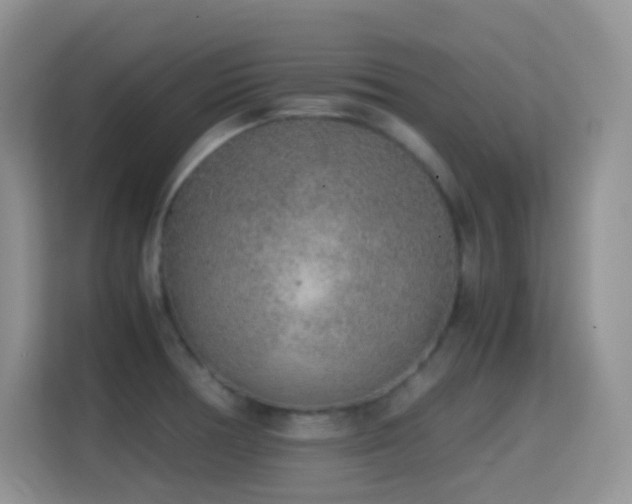 X0000114681378200910211202