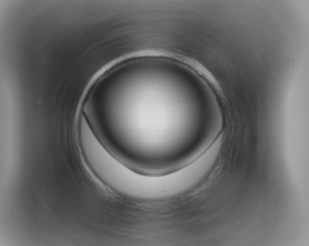 X0000114681380200910211201