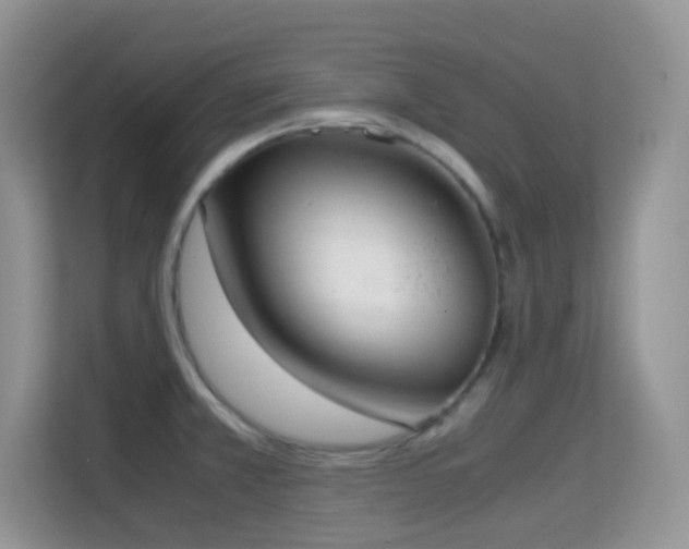 X0000114681381200910211201