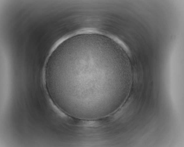 X0000114681382200910211201