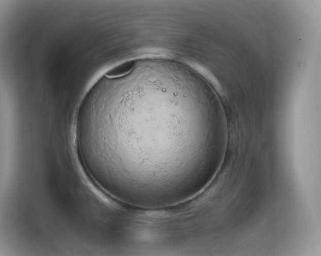 X0000114681383200910211201