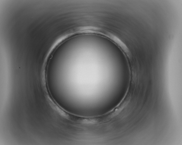 X0000114681384200910211201