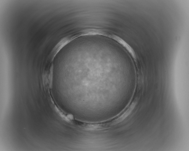 X0000114681385200910211201