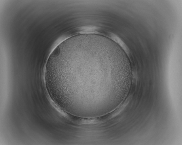 X0000114681386200910211201