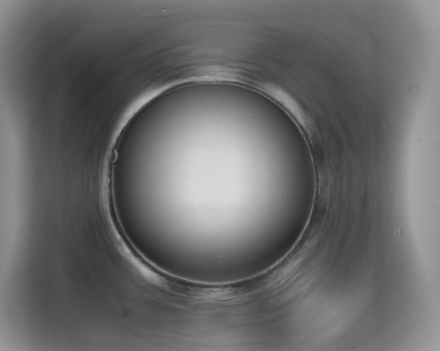 X0000114681387200910211201