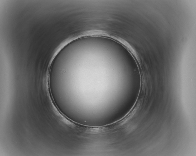 X0000114681390200910211201