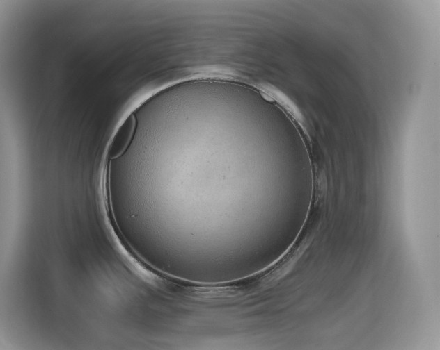X0000114681391200910211201