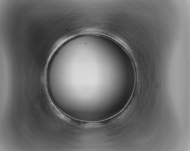 X0000114681392200910211201