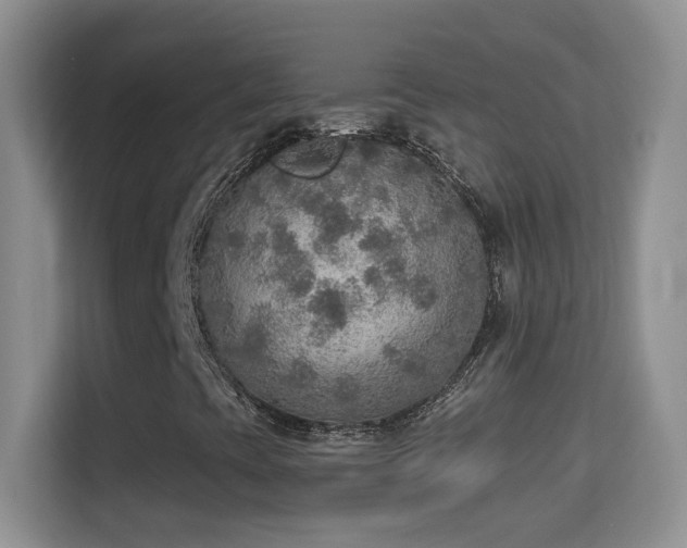 X0000114681393200910211201