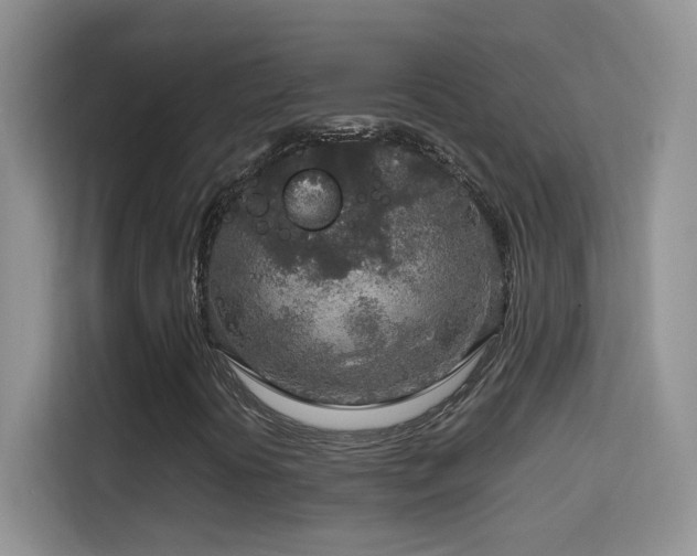 X0000114681394200910211201