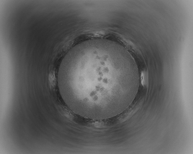 X0000114681395200910211201