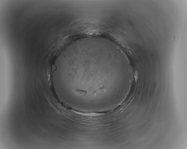 X0000114681396200910211201