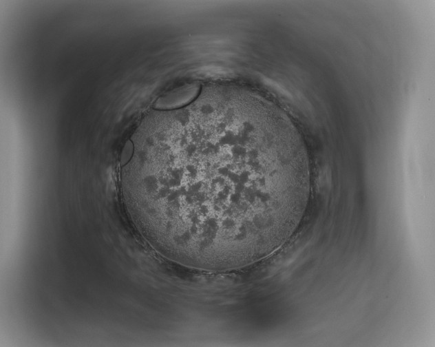X0000114681397200910211201